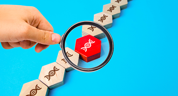 11 Risk Factors for Rheumatoid Arthritis and How to Reduce Your Risk 11 Risk Factors for Rheumatoid Arthritis and How to Reduce Your Risk