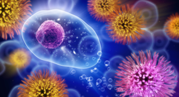 ¿Cuál es el rol del sistema inmunitario en la AIJ?