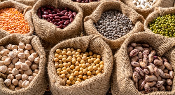 Choose the Best Proteins for Arthritis