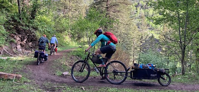 Arthritis Challenge Experience