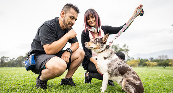 Make Dog Walking Arthritis-Friendly