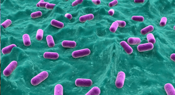 La función de los microbiomas en las enfermedades reumáticas