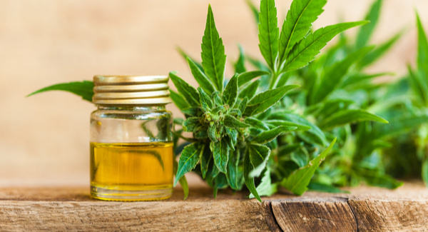 Cuestionario: CBD para el dolor de artritis