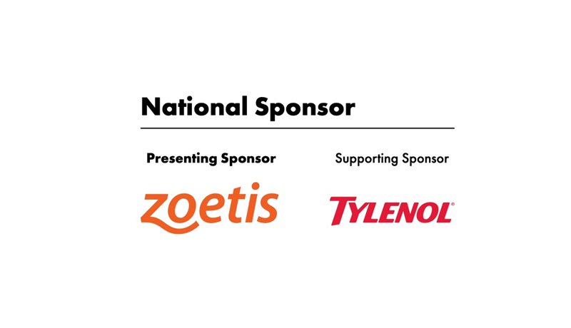 2026 Walk to Cure Arthritis National Sponsors