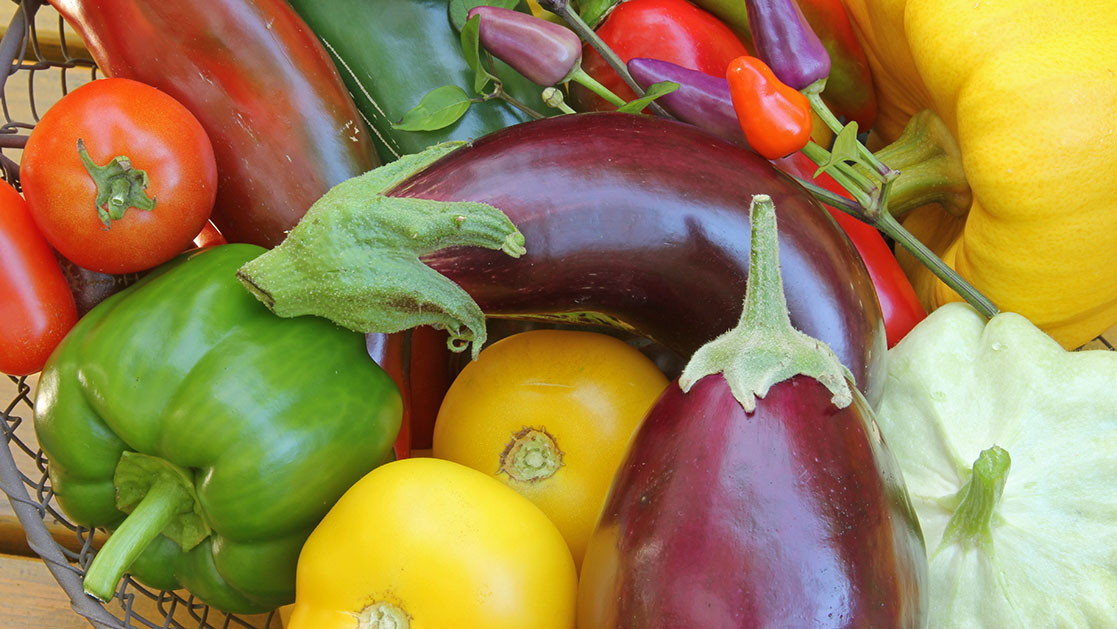 vegetales solanáceos